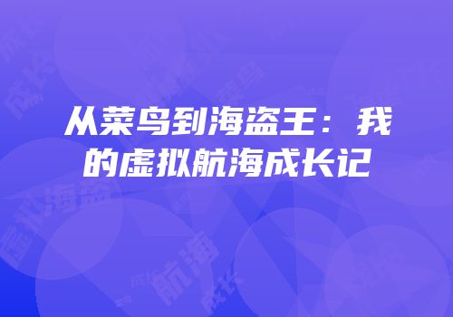 从菜鸟到海盗王：我的虚拟航海成长记