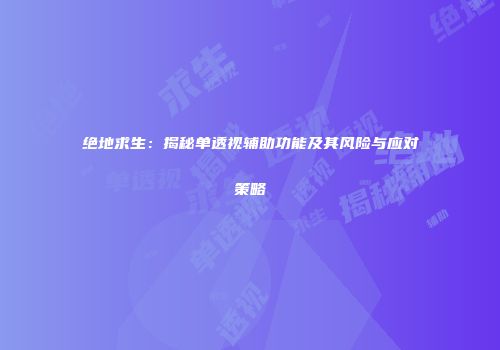 绝地求生：揭秘单透视辅助功能及其风险与应对策略