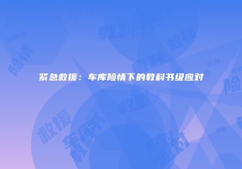 紧急救援：车库险情下的教科书级应对