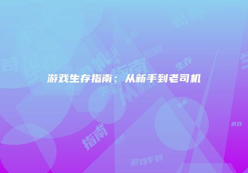 游戏生存指南：从新手到老司机