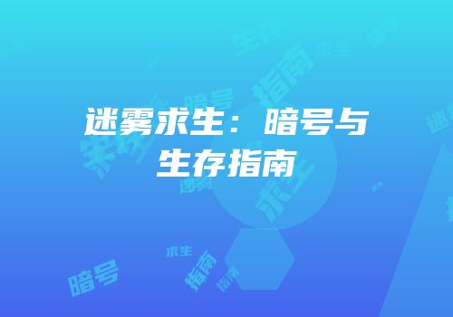 迷雾求生：暗号与生存指南