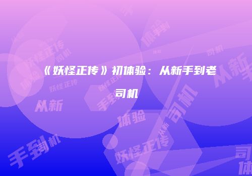 《妖怪正传》初体验：从新手到老司机