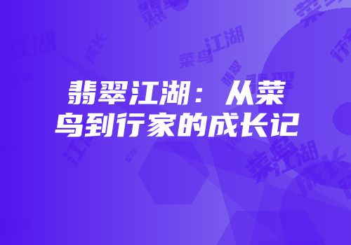 翡翠江湖：从菜鸟到行家的成长记