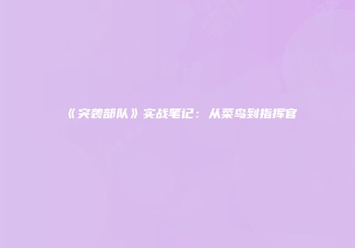 《突袭部队》实战笔记：从菜鸟到指挥官