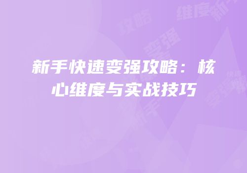 新手快速变强攻略：核心维度与实战技巧