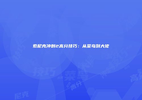 索尼克冲刺2高分技巧：从菜鸟到大佬