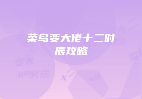 菜鸟变大佬十二时辰攻略