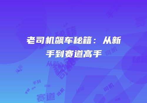老司机飙车秘籍：从新手到赛道高手