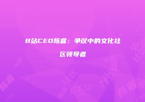 B站CEO陈睿：争议中的文化社区领导者