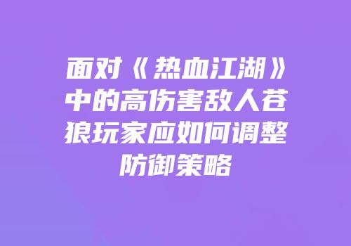 面对《热血江湖》中的高伤害敌人苍狼玩家应如何调整防御策略