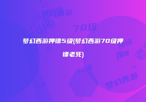 梦幻西游押镖5级(梦幻西游70级押镖老死)