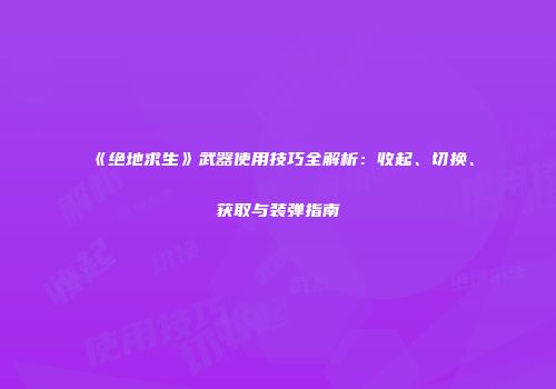 《绝地求生》武器使用技巧全解析：收起、切换、获取与装弹指南