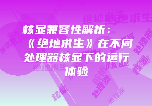 核显兼容性解析：《绝地求生》在不同处理器核显下的运行体验