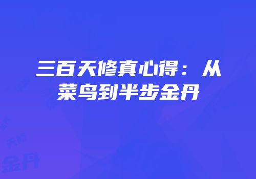 三百天修真心得：从菜鸟到半步金丹