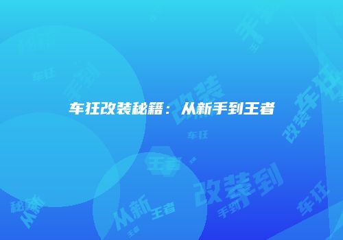 车狂改装秘籍：从新手到王者