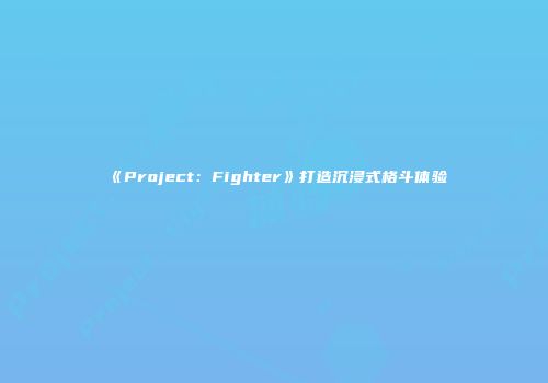 《Project：Fighter》打造沉浸式格斗体验