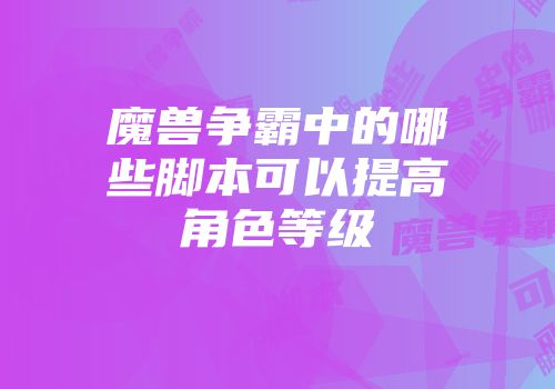魔兽争霸中的哪些脚本可以提高角色等级