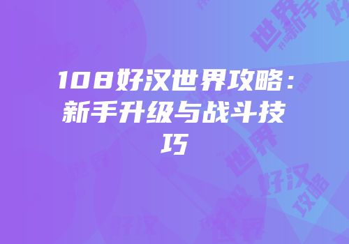 108好汉世界攻略：新手升级与战斗技巧