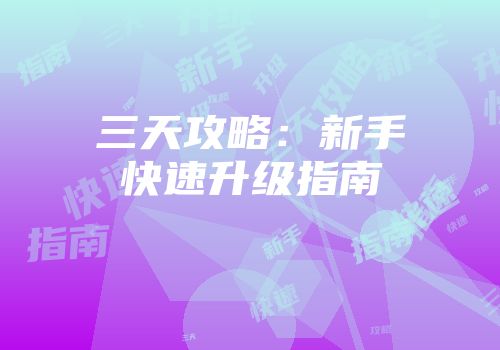 三天攻略：新手快速升级指南