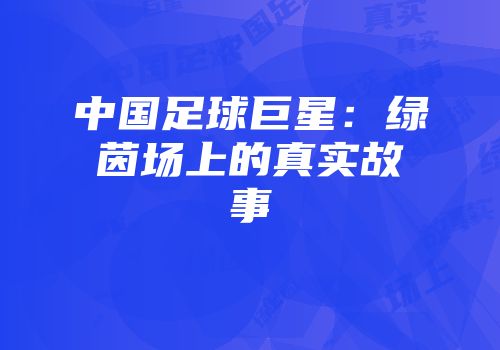 中国足球巨星：绿茵场上的真实故事