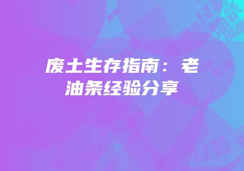废土生存指南：老油条经验分享