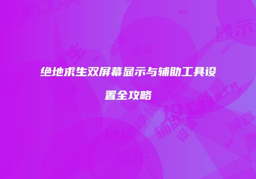绝地求生双屏幕显示与辅助工具设置全攻略