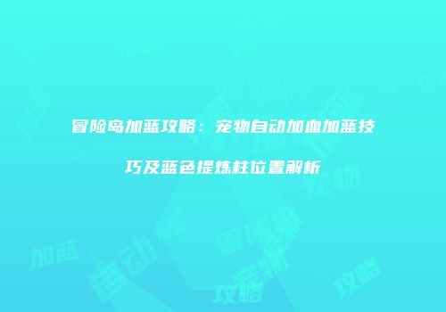 冒险岛加蓝攻略：宠物自动加血加蓝技巧及蓝色提炼柱位置解析