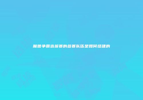 魔兽争霸选拔赛的参赛队伍是如何组建的