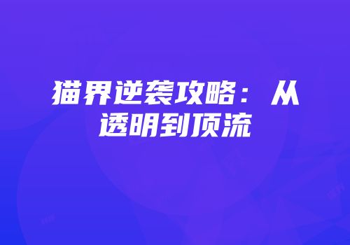 猫界逆袭攻略：从透明到顶流