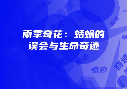 雨季奇花：蛞蝓的误会与生命奇迹