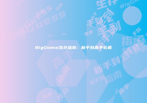 BigGuess生存指南：新手到高手必看