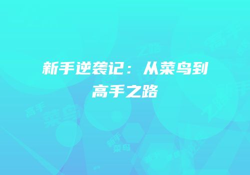 新手逆袭记：从菜鸟到高手之路