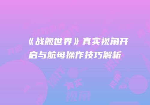 《战舰世界》真实视角开启与航母操作技巧解析