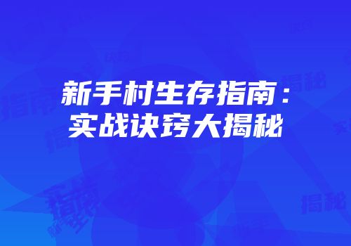 新手村生存指南：实战诀窍大揭秘