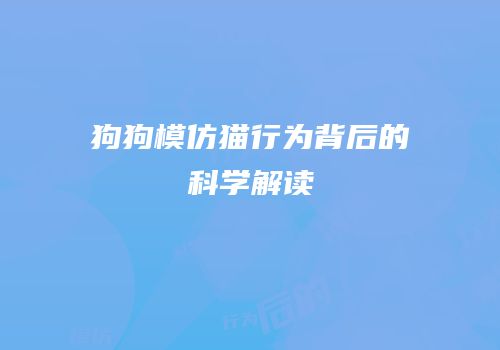 狗狗模仿猫行为背后的科学解读