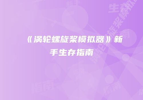 《涡轮螺旋桨模拟器》新手生存指南