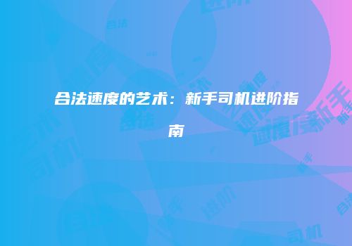 合法速度的艺术：新手司机进阶指南