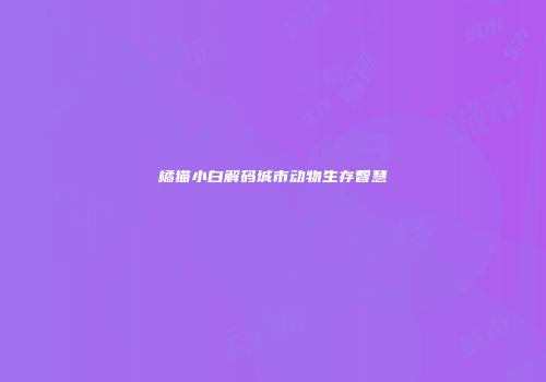 橘猫小白解码城市动物生存智慧