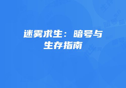 迷雾求生：暗号与生存指南