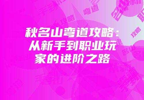 秋名山弯道攻略：从新手到职业玩家的进阶之路