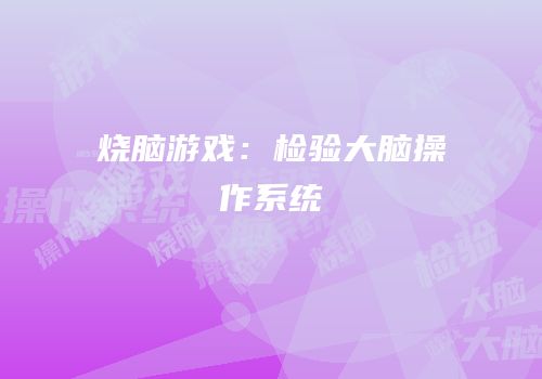 烧脑游戏：检验大脑操作系统