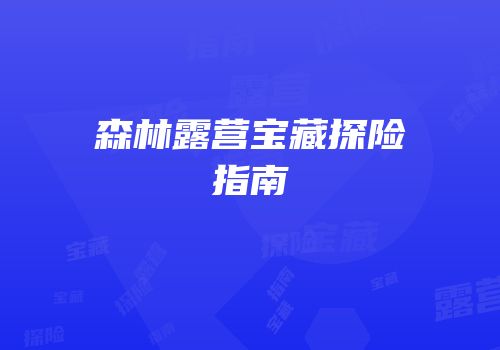 森林露营宝藏探险指南