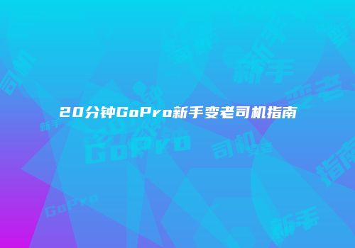 20分钟GoPro新手变老司机指南