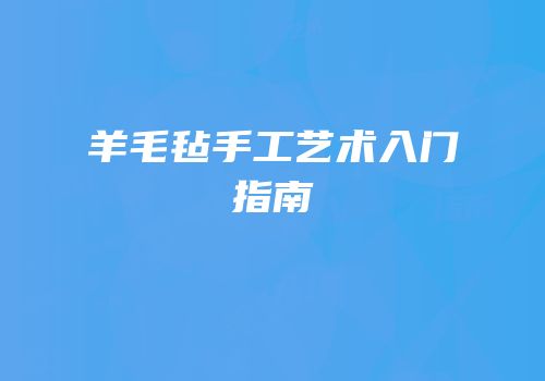 羊毛毡手工艺术入门指南
