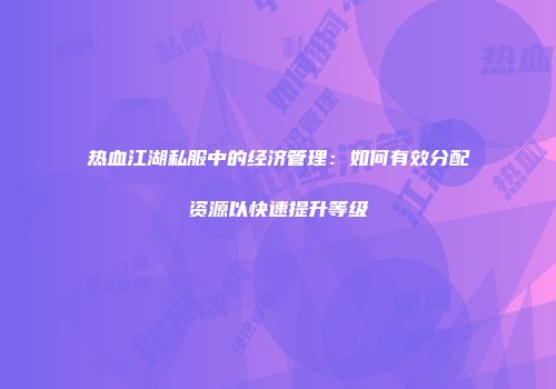 热血江湖私服中的经济管理：如何有效分配资源以快速提升等级