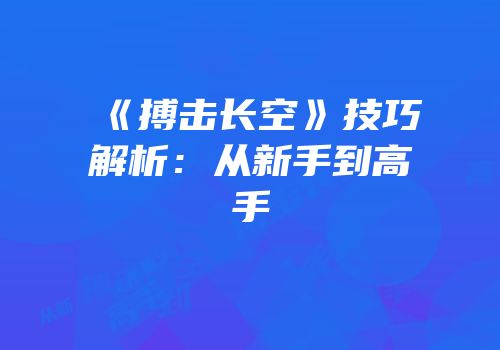 《搏击长空》技巧解析：从新手到高手