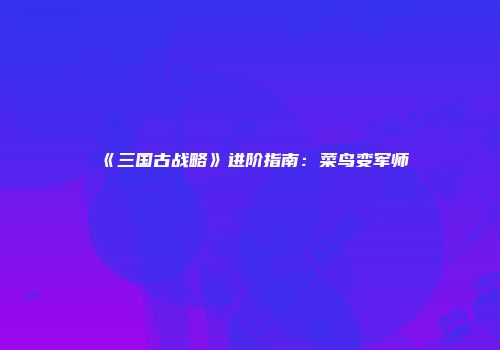 《三国古战略》进阶指南：菜鸟变军师