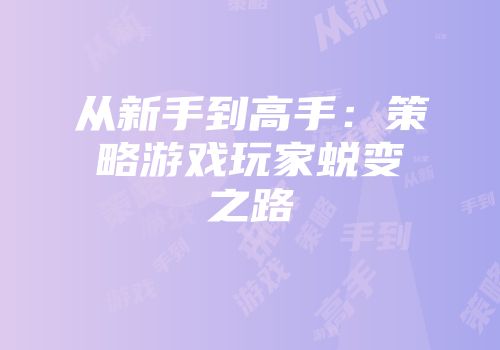 从新手到高手：策略游戏玩家蜕变之路