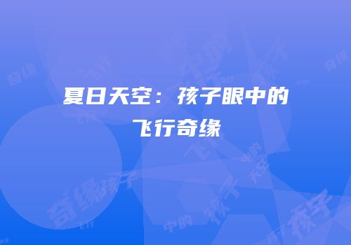 夏日天空：孩子眼中的飞行奇缘