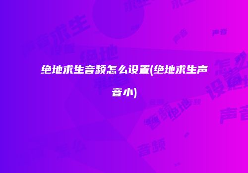 绝地求生音频怎么设置(绝地求生声音小)